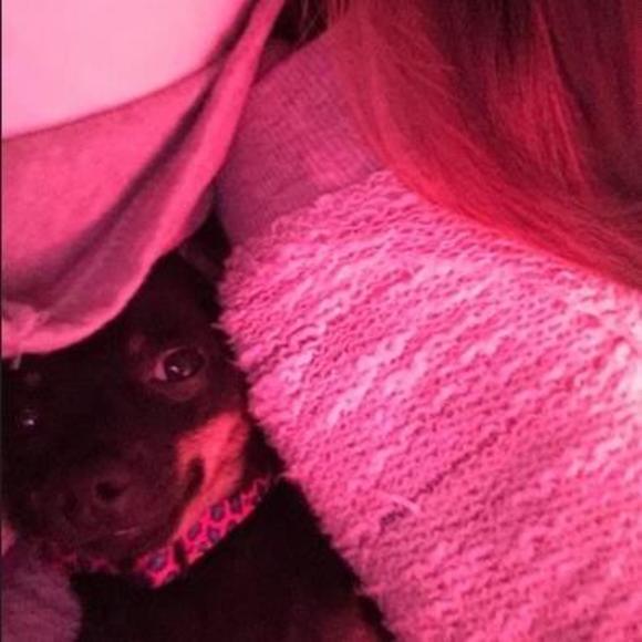 Meet your Posher, Regan - Picture 1 of 1